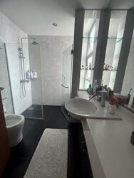 The Raintree (D21), Condominium #568264121